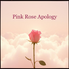 Pink Rose Apology