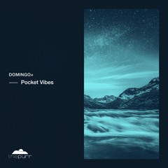 Domingo + - Pocket Vibes (Rise Mix)