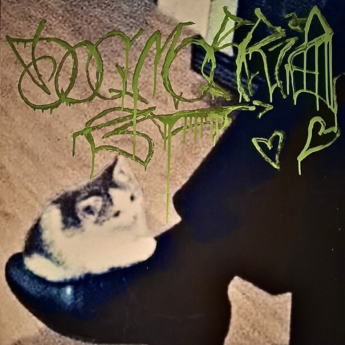 dripstiq.mp3 ft. docmorriz (prod. mocdorriz)