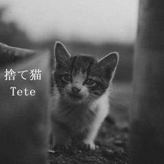 捨て猫 Stray Cat (Remastered Version 2023) / 作詞・作曲：Tete
