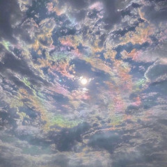 NUIT MAGIQUE  🤍🎻