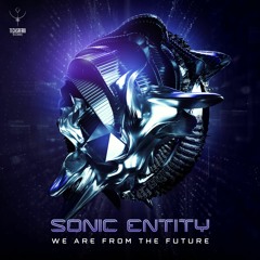 Sonic Entity - We Are From The Future (sample) | Out now @ Techsafari records