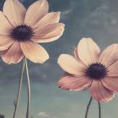 we-happy-healing-each-other.mp3