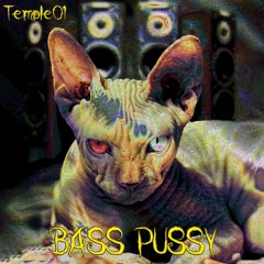 Bass Pussy -Temple01 - 128bpm - Beatport