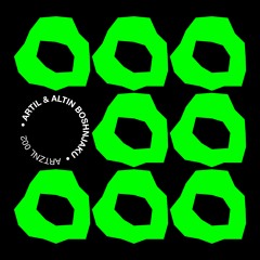 Artil, Altin Boshnjaku - ARTZNL 002