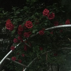 aespa - flowers cover