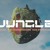 Artwork for Alok & The Chainsmokers - Jungle (Lisa McLeary Remix)