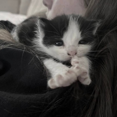 Dear.(Prod.xmichaelwarren) cover