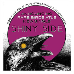 Rare Birds Shiny Side 4.13 minutes 16bit