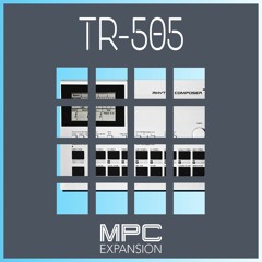 TR - 505 Demo (Dry)