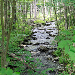 are we still there yet ?