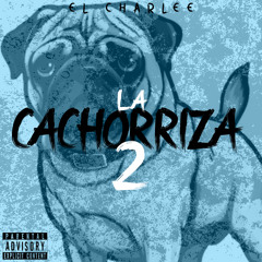 LA CACHORRIZA 2