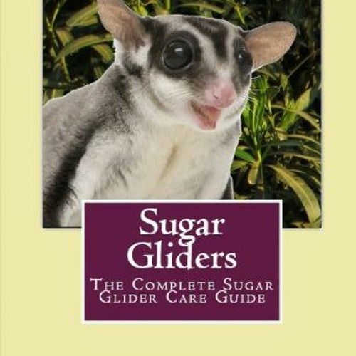 Stream Download pdf Sugar Gliders The Complete Sugar Glider Care Guide