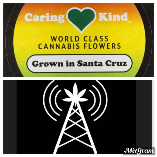 Caring Kind with Stony & Dom Diesel 04/09/21