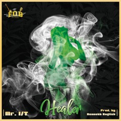 Mr I/T HEALER