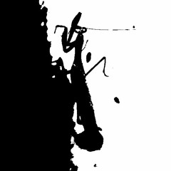 LiveACID track 02 By Steve Transcoder (electromobilitaet)