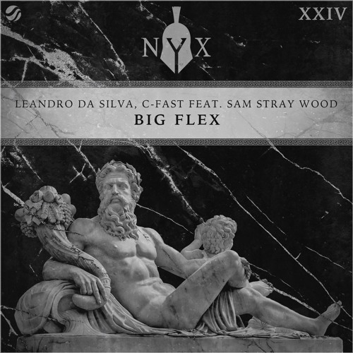 Leandro Da Silva, C-Fast ft. Sam Stray Wood - Big Flex
