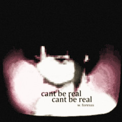 cant be real (feat. coniferae)