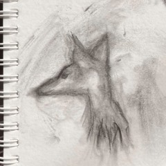 my house is full of leafs