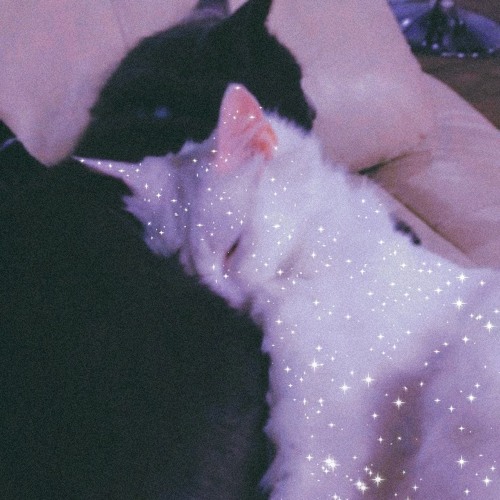 Tá faltando eu na sua vida