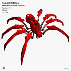 Premiere: Samuel Delgado - Tenerife 1997 (Disolart Remix) [A100 Records]