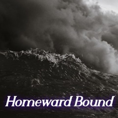 Homeward Bound