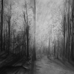 Dark Forest Theory - Distortion Set