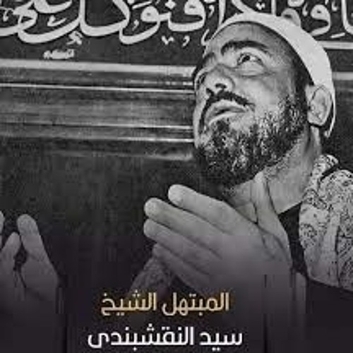 الشيخ سيد النقشبندي.. كل المعاني إن وُصِفتَ تضاءلت  وتحيّرت في كُنهك المتلثم