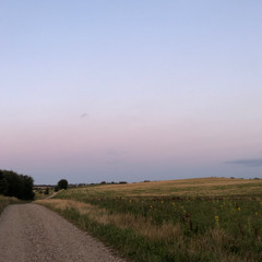 Firgårde
