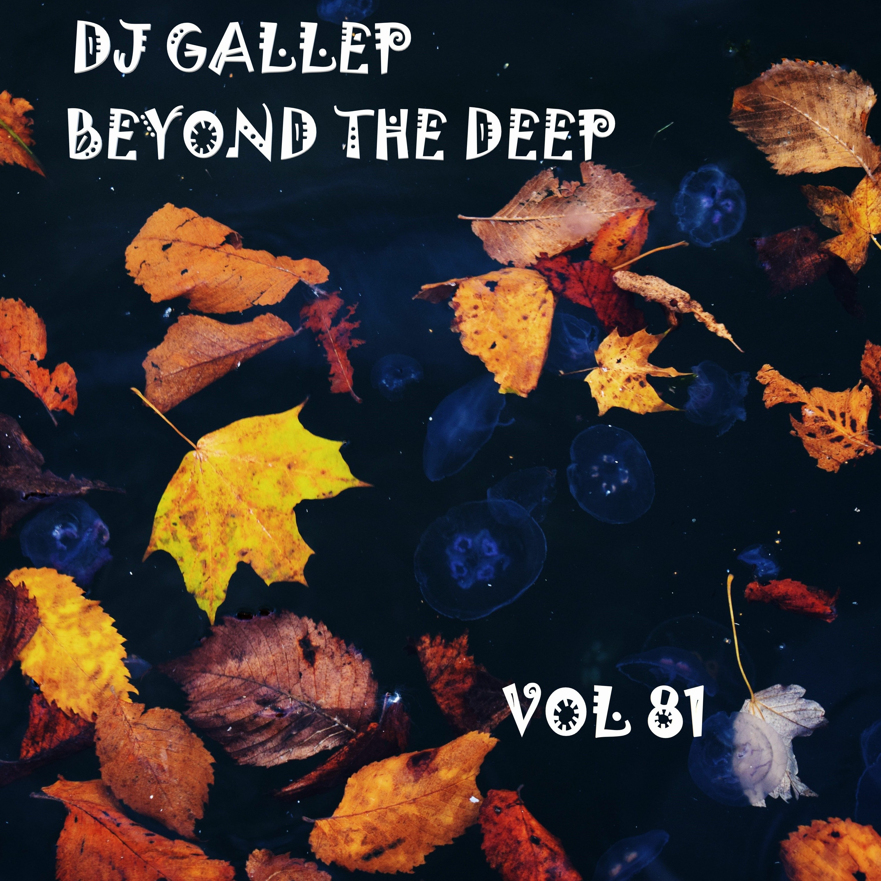 DJ Gallep - Beyond The Deep Vol 81 episode artwork