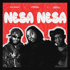 Rayvanny Ft Diamond Platinumz & Khalil Harrison - NESA NESA