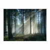 gravity reversed (feat. Dariusz Jackowski) gravity reversed (feat. Dariusz Jackowski)