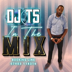 DJ TS IN THE MIX VOLUME 14 BIG PEOPLES PARTY PT 5