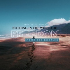 Nothing In The World of Freedom - Moziac Vs Shiva (Ste Mc Gee Bootleg)