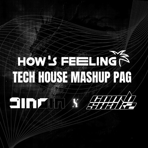 How's Feeling Festival Tech House Mashup Pack(ft. DinoJin & Combshakz)