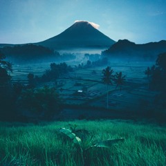 Fields 2050 [Re-Uploaded]