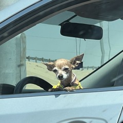 'till ur ex finds out demo.wav