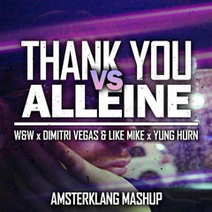 Dido - Thank You vs Alleine (W&W x Dimitri Vegas & Like Mike x Yung Hurn) - Amsterklang Mashup