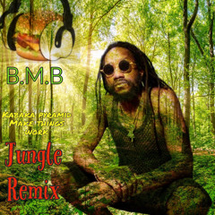 kabaka pyramid Make things work Jungle Remix .m4a