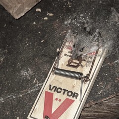 Mousetrap
