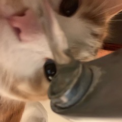 Aprèm à la plage mais il pleut