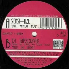 DJ Bassdriver - Feels Like Heaven - Knitebreed (Jan 1997)