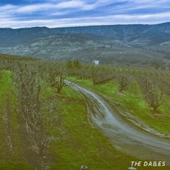 The Dalles