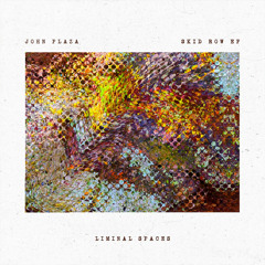 PREMIERE: John Plaza - Skid Row [Liminal Spaces]