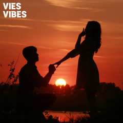 VIES VIBES - Canvas | OUT NOW