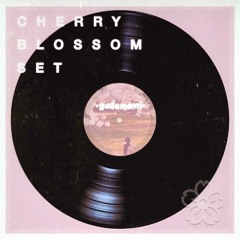 cherry blossom set @ the dc tidal basin 3.23.23