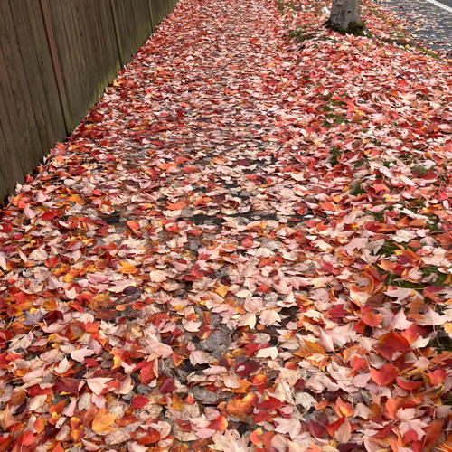 faintly attentive 3 demo.mp3