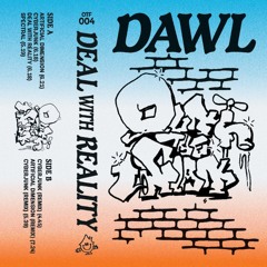 PREMIERE || Dawl - Cyberjunk [Out The Flat]