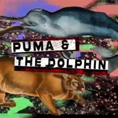 ACID DREAM STREAM #12 with PUMA & THE DOLPHIN