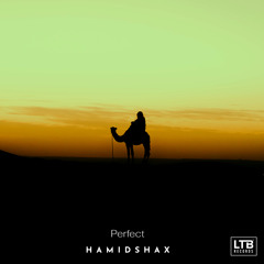 Hamidshax - Perfect (Original Mix)